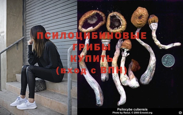 бошки Майский