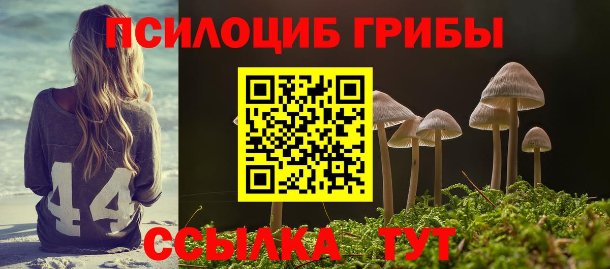 Псилоцибиновые грибы MAGIC MUSHROOMS Темрюк