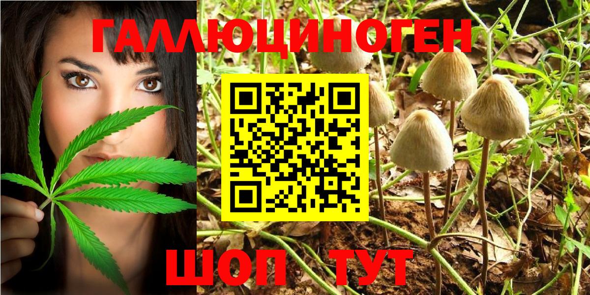 Галлюциногенные грибы GOLDEN TEACHER Темрюк