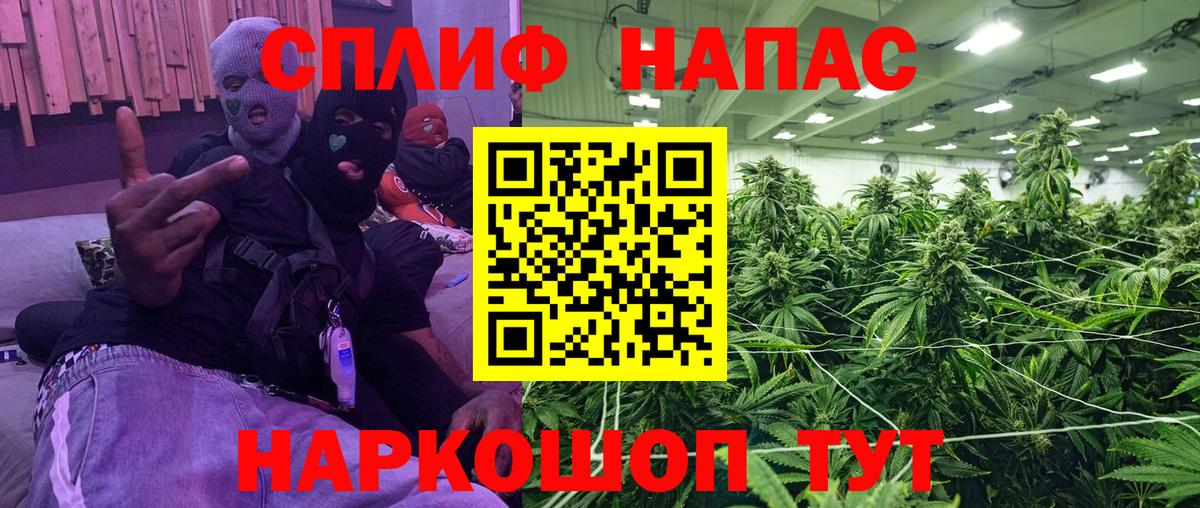 МАРИХУАНА план  Бошки марихуана сатива  Вход с VPN  Бошки марихуана SATIVA & INDICA  Темрюк  Марихуана семена 